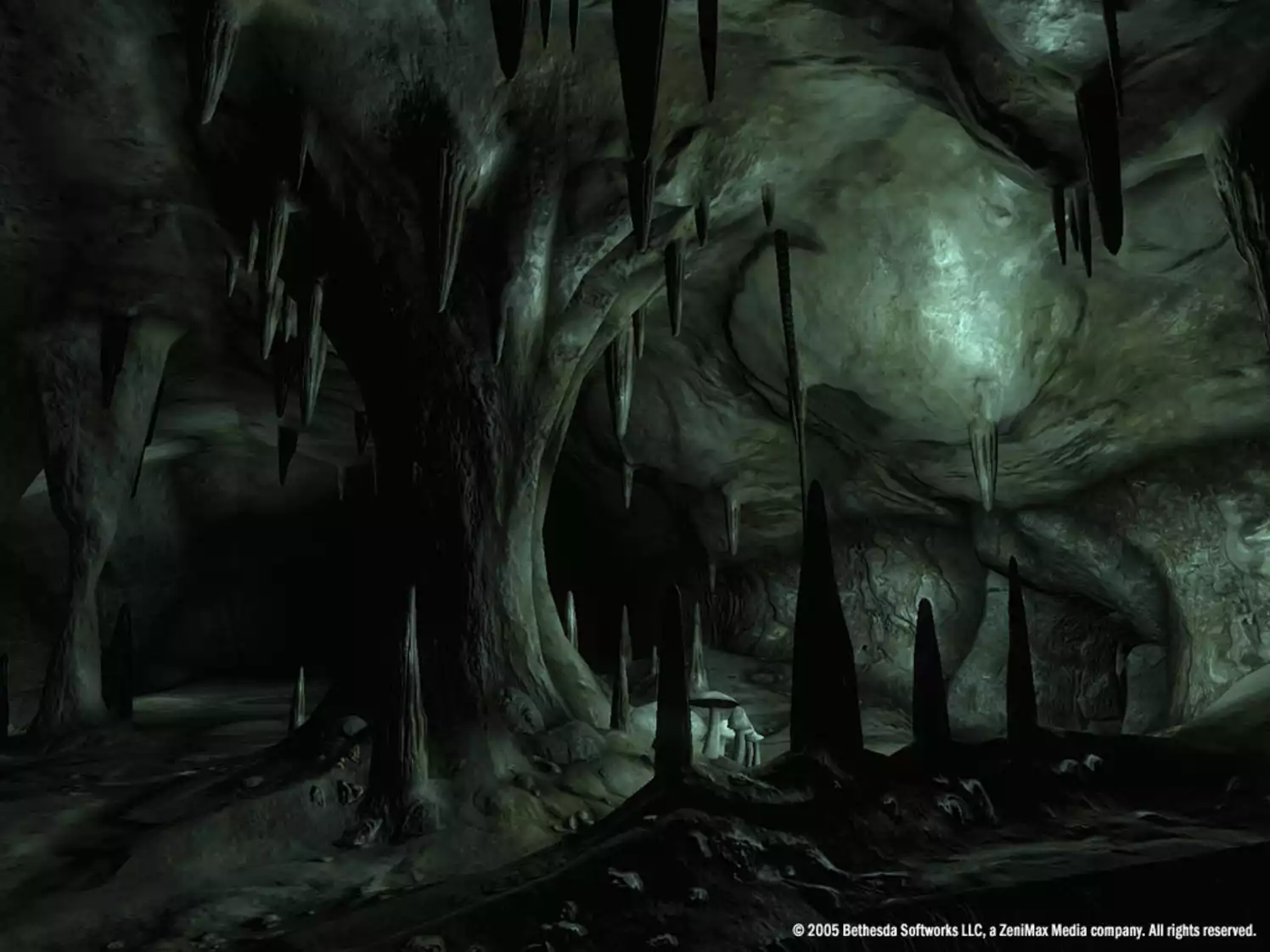 The Elder Scrolls IV Oblivion Game of the Year Edition Deluxe
