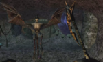 The Elder Scrolls III Morrowind GOTY Edition