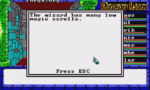 Dragon Wars