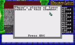 Dragon Wars