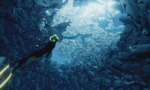 ABZU