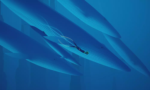 ABZU