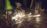 Warhammer 40000 Mechanicus Omnissiah Edition
