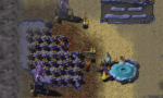 Warbreeds