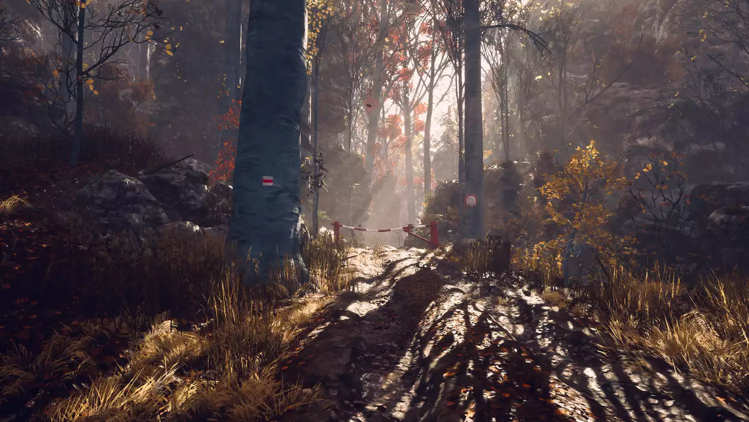 Someday Youll Return