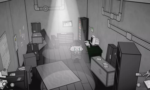 Feline Forensics and the Meowseum Mystery