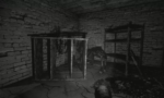 The Pony Factory
