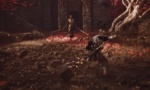 Mortal Shell II