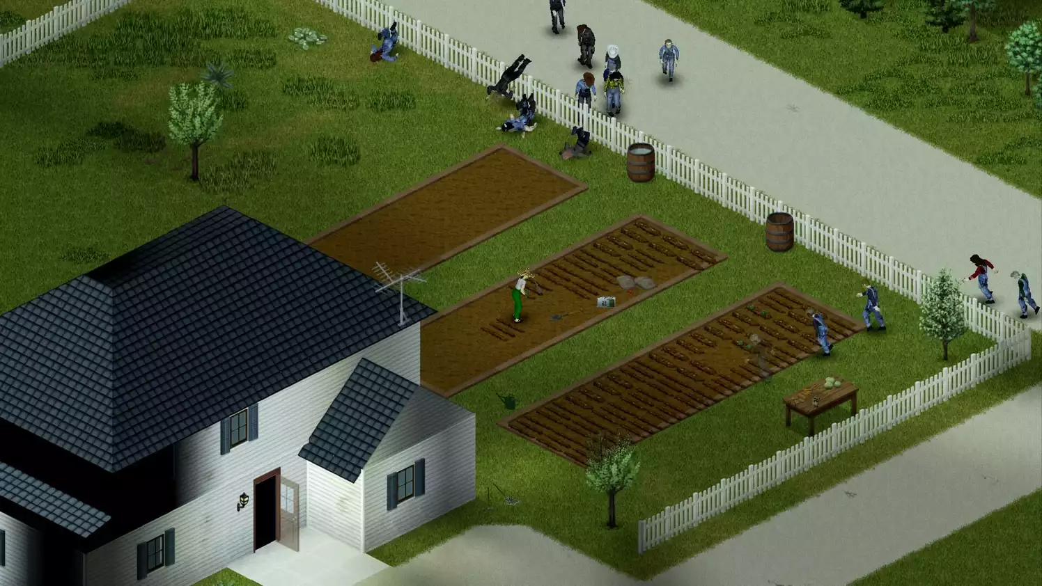 Project Zomboid (Early Access)