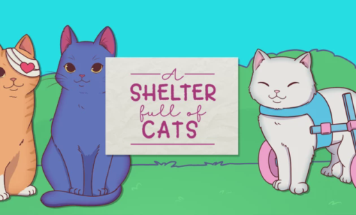 A Shelter Full of Cats