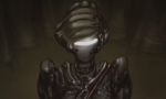 Primordia