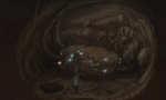 Primordia