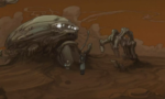 Primordia