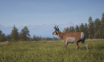 Way of the Hunter 2