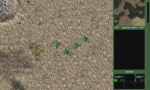 Army Men World War