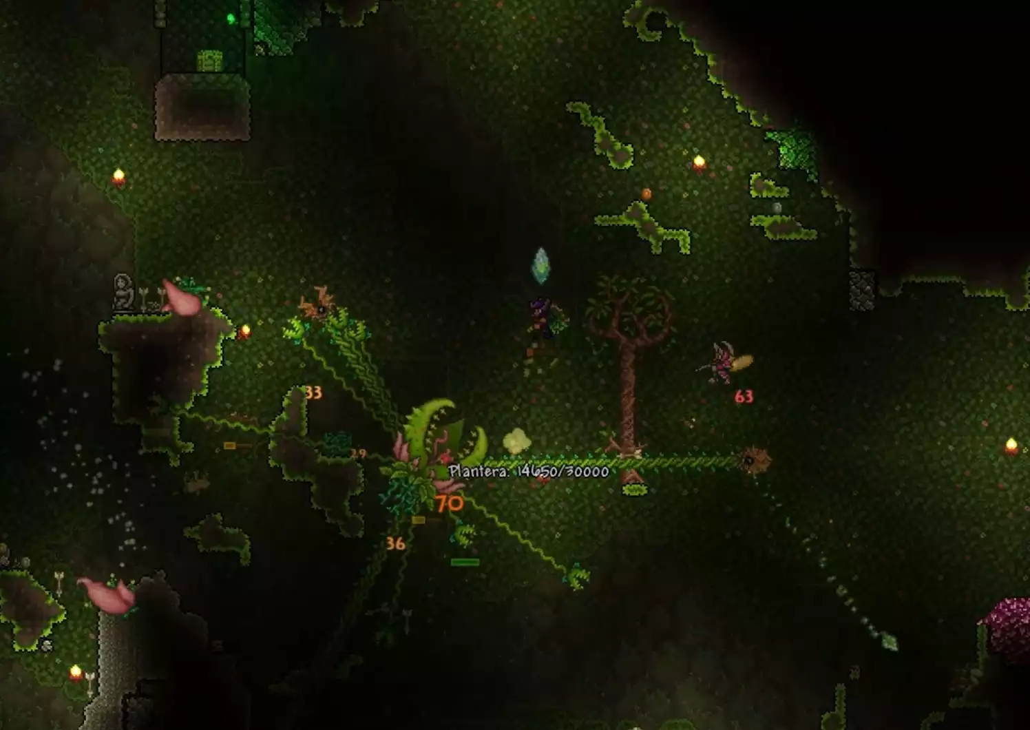 Terraria