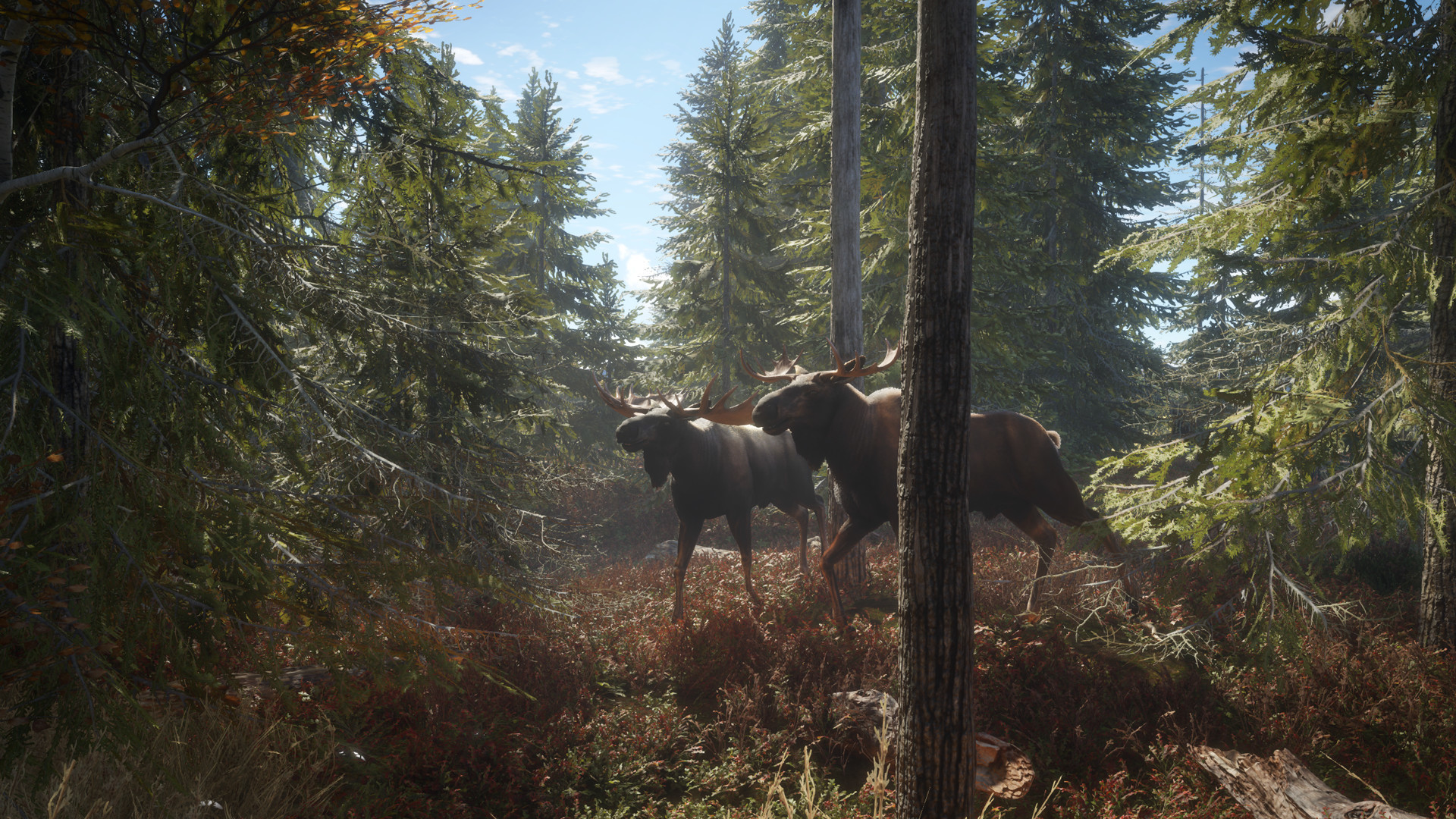 theHunter Call of the Wild