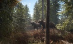 theHunter Call of the Wild