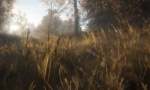 theHunter Call of the Wild