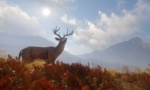 theHunter Call of the Wild