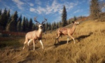 theHunter Call of the Wild