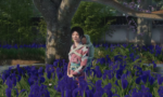Sengoku Dynasty Ultimate Edition
