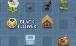 Black Flower