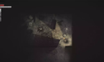 Darkwood