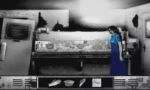 The Cat Lady