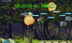 BLAZING STAR