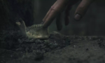 Heart of the Forest
