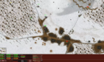 Close Combat 3 The Russian Front