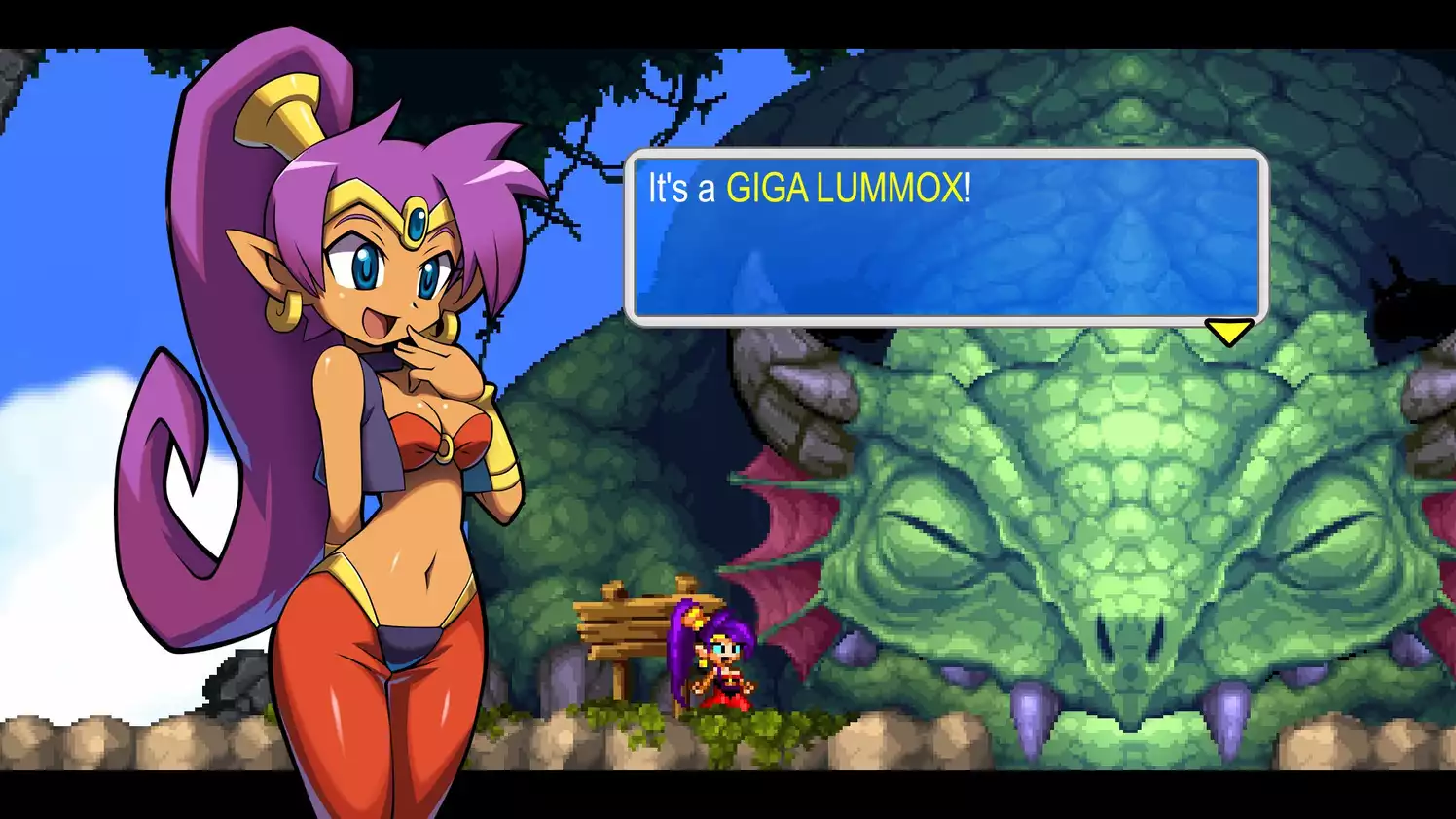 Shantae and the Pirates Curse
