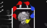 Matsuro Palette