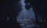 Inner Voice