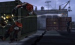 Dark Sector
