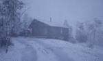Way of the Hunter 2