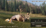 Way of the Hunter 2