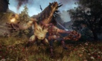 Blades of Fire