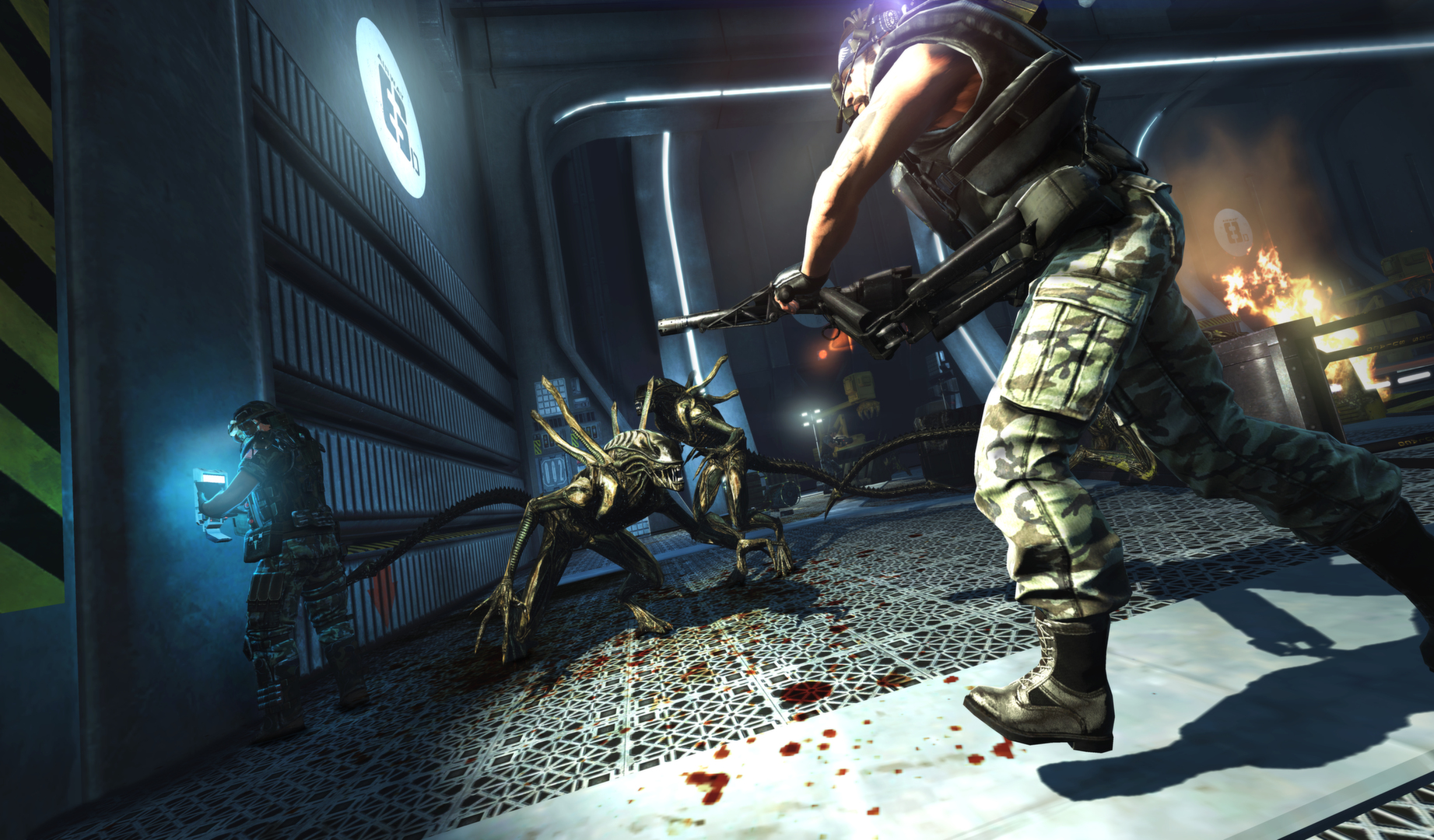 Aliens Colonial Marines Collection