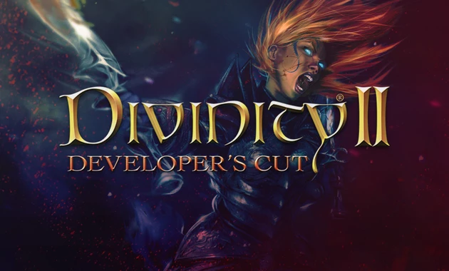 Divinity 2: Developer's Cut