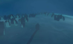 Penguin Colony Deluxe Edition