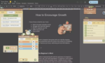 Focus Grove