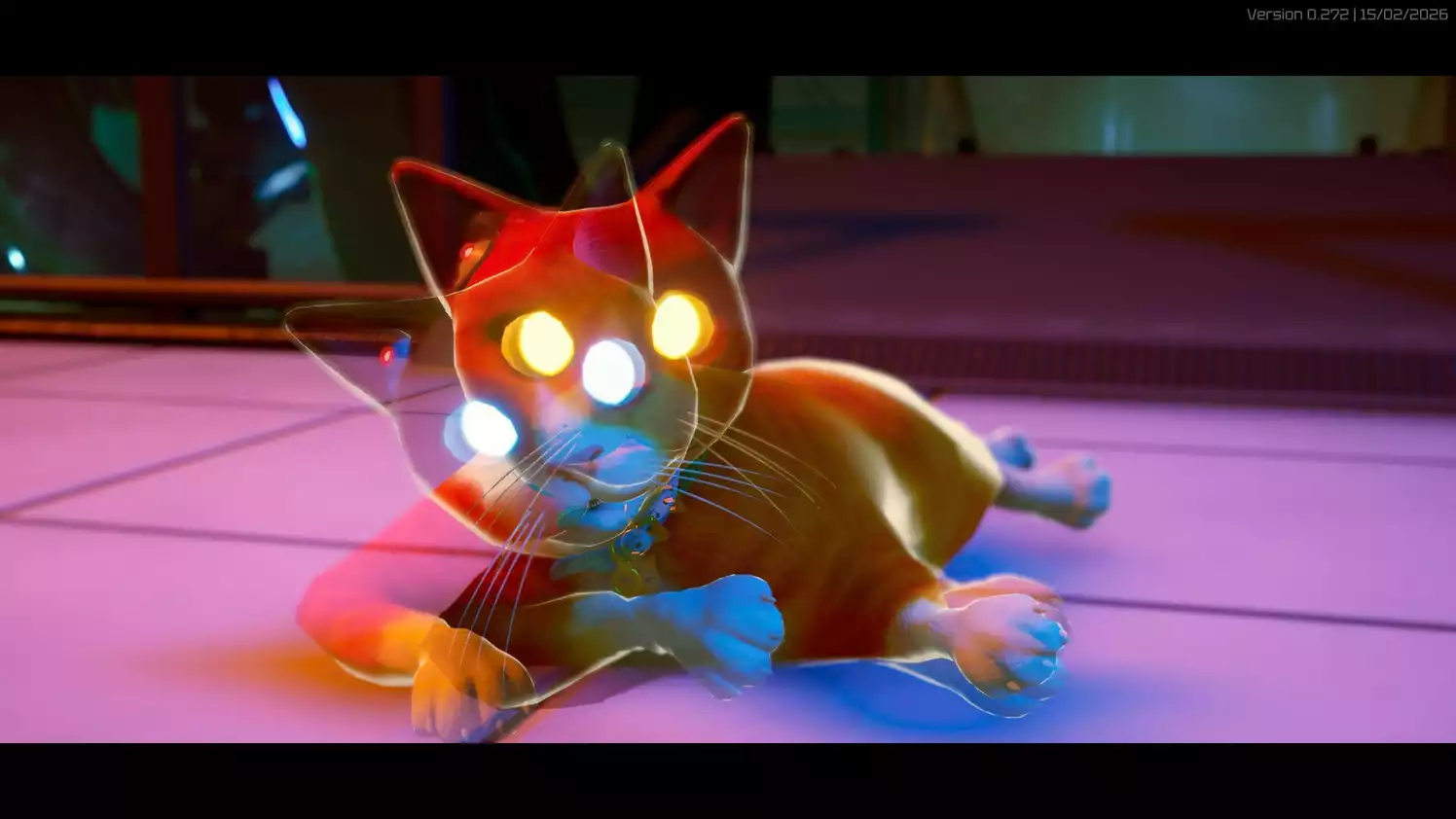Schrodingers Cat Burglar Collectors Edition