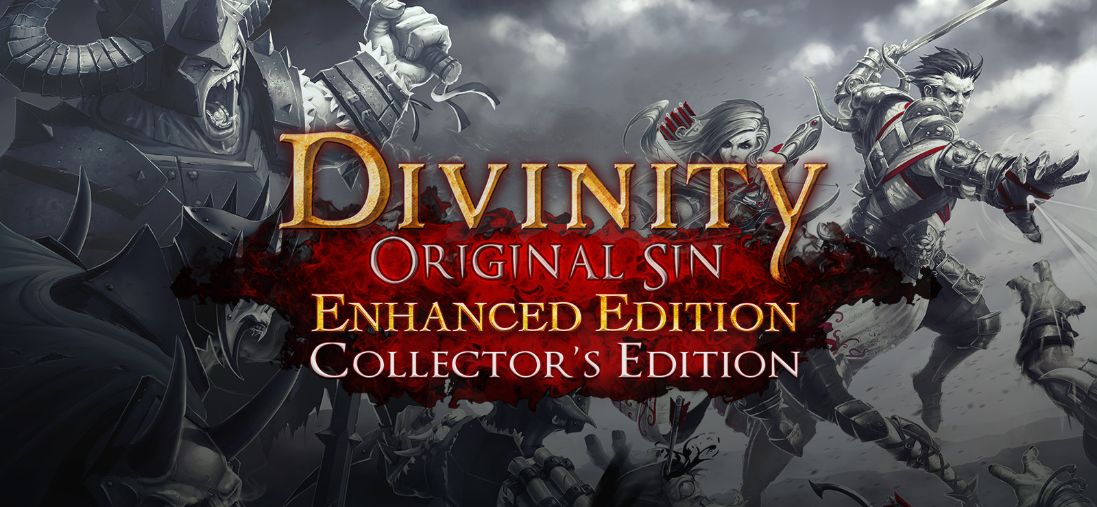 Divinity: Original Sin Enhanced Edition Collector's Edition