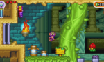 Shantae Advance Risky Revolution Deluxe Edition