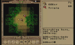 Worlds of Ultima The Savage Empire