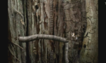 Samorost 2
