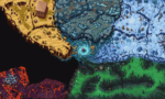 Guards II Chaos in Hell