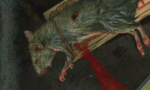 Bad Mojo Redux 